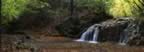 Un Torrente nel Parco Faunistico (24kb)